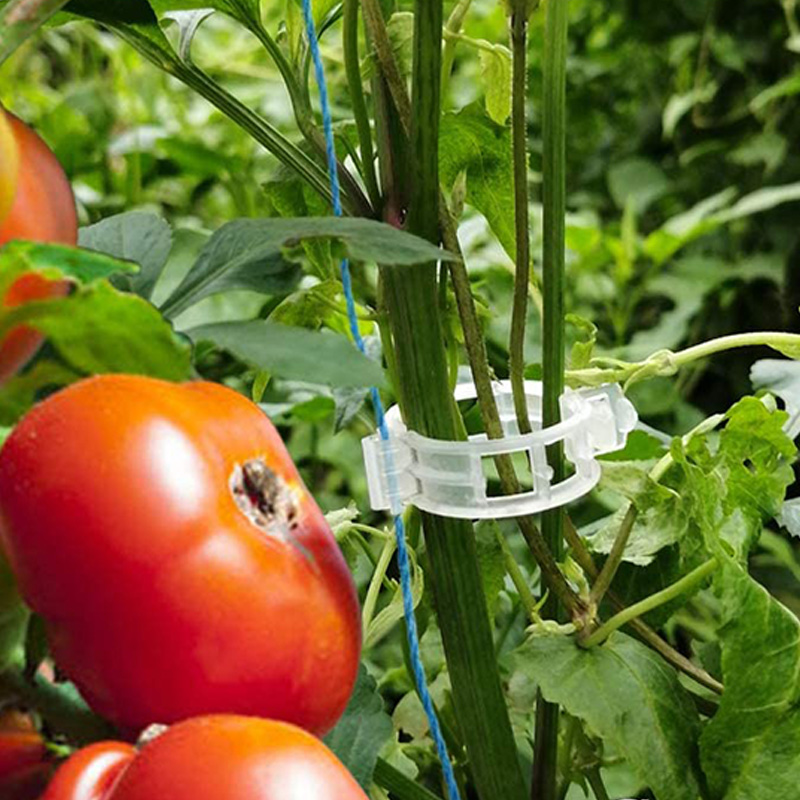 Details about   Tomato Veggie Garden Plant Support Clips For Trellis Greenhouse LN 