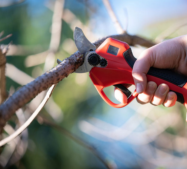 Hand Held Electric Pruning Shears - Orchard Power Tools - Harvesso