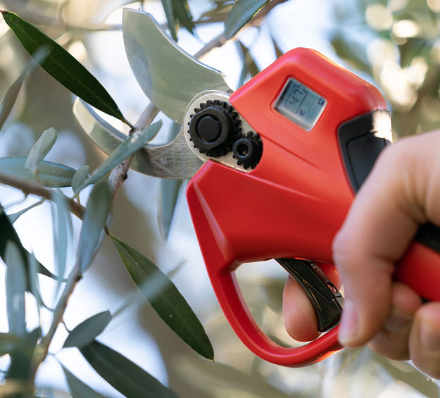 cordless electric pruning shears