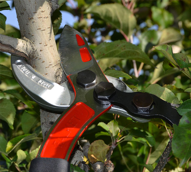 длинные ножницы для обрезки в саду