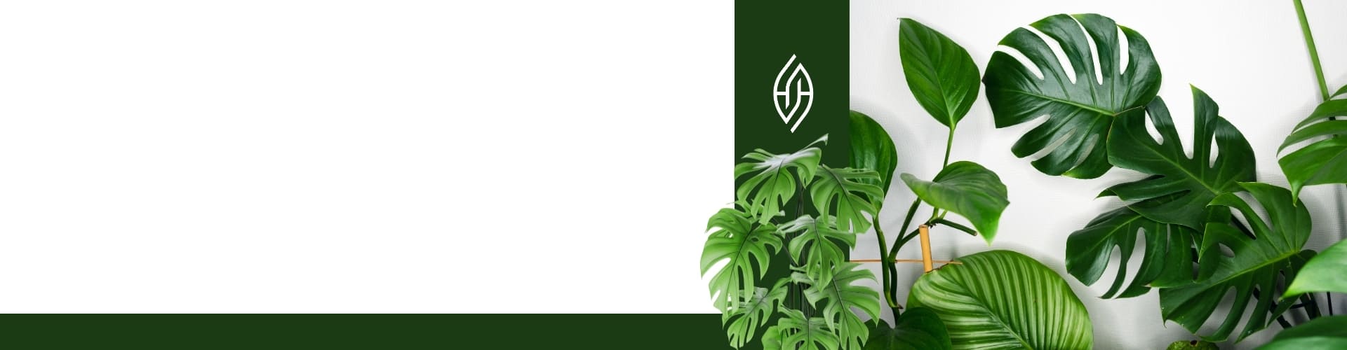 Harvesso Hero Slider Mobile