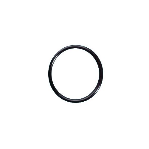AMIAD WATER SYSTEMS Amiad-man-ond o-halqa silindr/disk 2″-3″-4″ - Harvesso