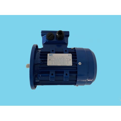 AMIAD WATER SYSTEMS Amiad-SAF-Part 1/3 Hp Electric Motor - Harvesso