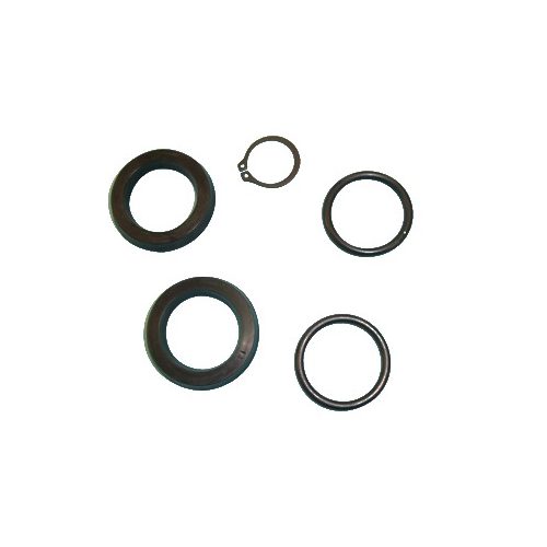 BERG HORTIMOTIVE rotating clutch rep.set 3 / 4 “ - Harvesso
