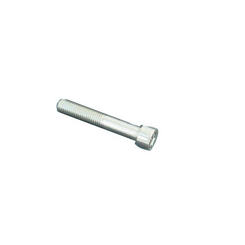 BERTOLINI PUMPS Hex Screw 10X65 8 - Harvesso