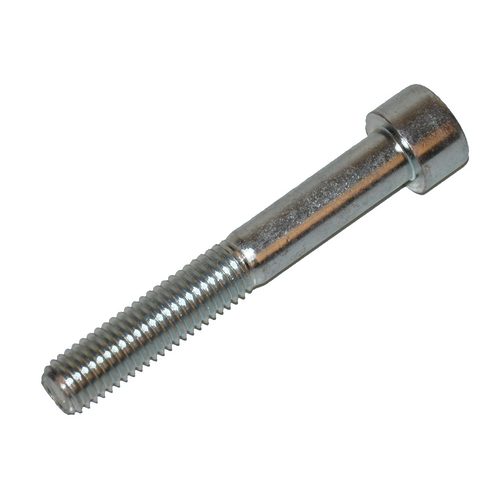 BERTOLINI PUMPS Socket screw M10X70 - Harvesso