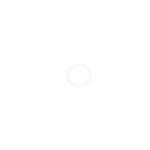 BERTOLINI PUMPS Valve Gasket 2020VF - Harvesso