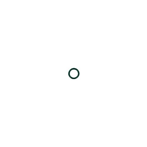 BIRCHMEIER O-ring 11.11 x1, 78 + Iris Flox - Harvesso