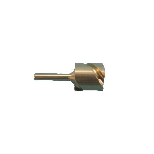 BIRCHMEIER Tol Duro spray cap - Harvesso