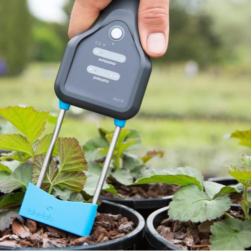 BLUELAB Pulse soil pH, temperature and moisture meter (Bluetooth) - Harvesso