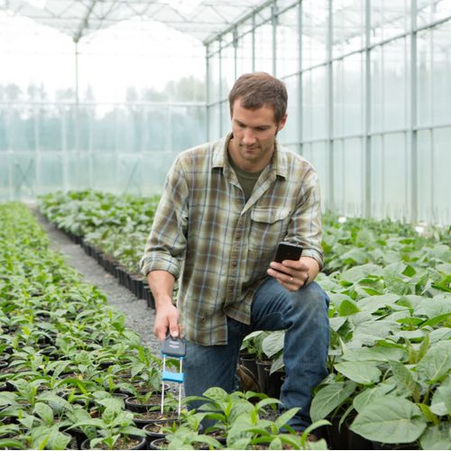 BLUELAB Pulse soil pH, temperature and moisture meter (Bluetooth) - Harvesso