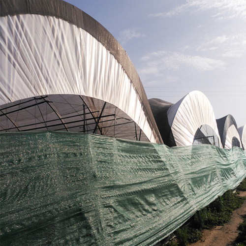 Kölgələmə toru - Harvesso