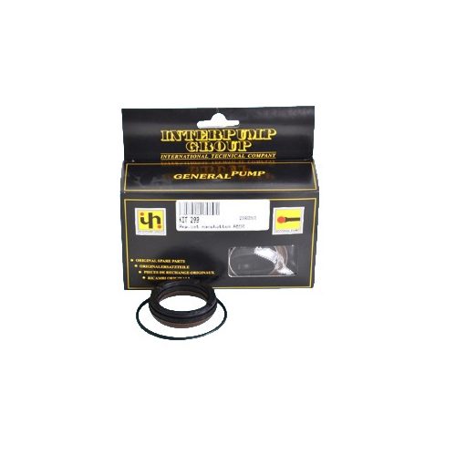 INTERPUMP SPA dəst299 təmir dəsti manjetlər AB90 nasos - Harvesso