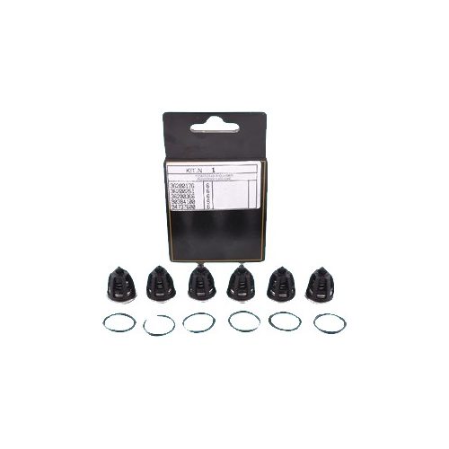 INTERPUMP SPA Kit 1 Valves WS - Harvesso
