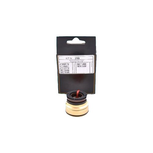 INTERPUMP SPA dəst 28 plunjer kipləşdiricisi.kpl. WS - Harvesso