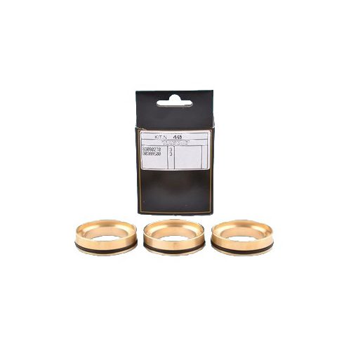 INTERPUMP SPA Kit 40 guide bus + O-Ring T55 - Harvesso