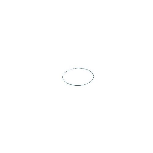 INTERPUMP SPA O-ring Crankcase Cover WS - Harvesso