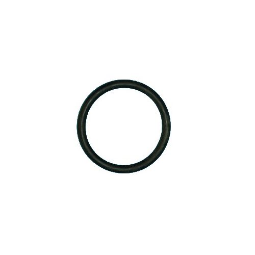 INTERPUMP SPA O-Ring for a Suction valve AB pump - Harvesso