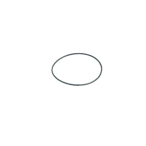 INTERPUMP SPA O-Ring I90.3915.00 - Harvesso