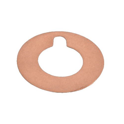 INTERPUMP SPA Ring WS - Harvesso