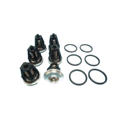 INTERPUMP SPA Ripa Kit 62 – T44/T55 – Valves kit - Harvesso