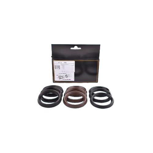 INTERPUMP SPA Ripa kit 79 kit79 t77 - Harvesso