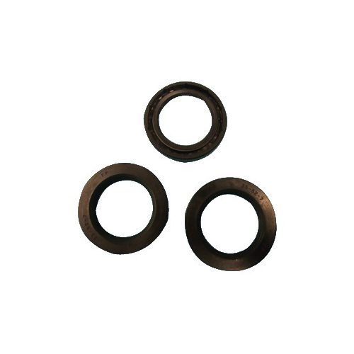 INTERPUMP SPA Ripa kit kit 44 t77 - Harvesso