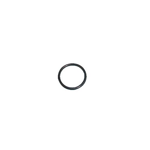 INTERPUMP SPA Ripa o-ring t44-03 - Harvesso