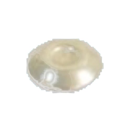 INTERPUMP SPA Valve T55 T44 - Harvesso