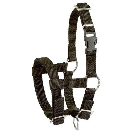 Alpaca halter, adjustable, black, with buckles - Harvesso