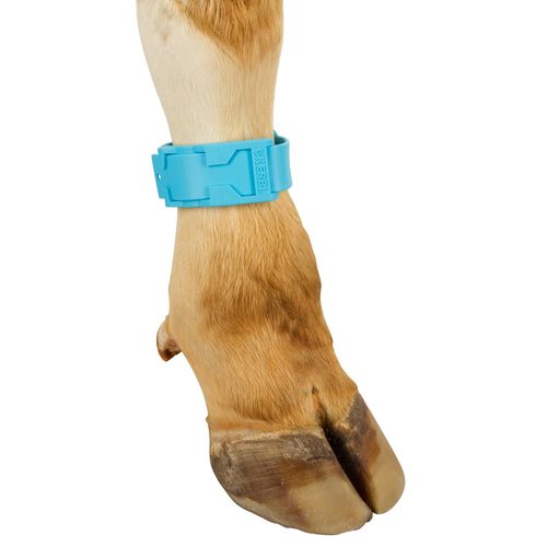 Ankle straps, plastic,  37 cm long, blue - Harvesso