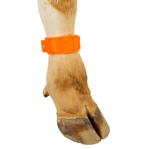 Ankle straps, plastic,  37 cm long, orange, - Harvesso