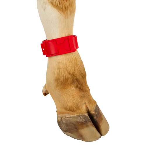Ankle straps, plastic,  37 cm long, red - Harvesso
