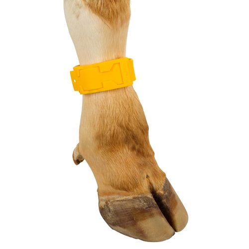 Ankle straps, plastic,  37 cm long, yellow - Harvesso
