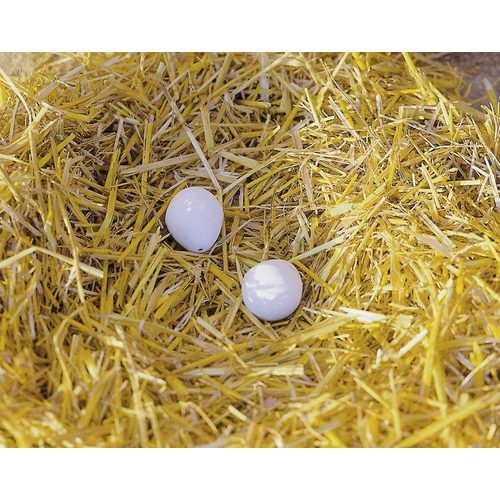 Artificial eggs for hens, tone - Harvesso
