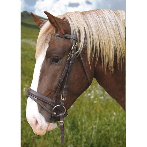 Bridle Carthorse black - Harvesso