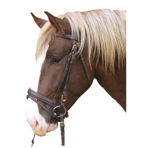 Bridle Carthorse brown - Harvesso