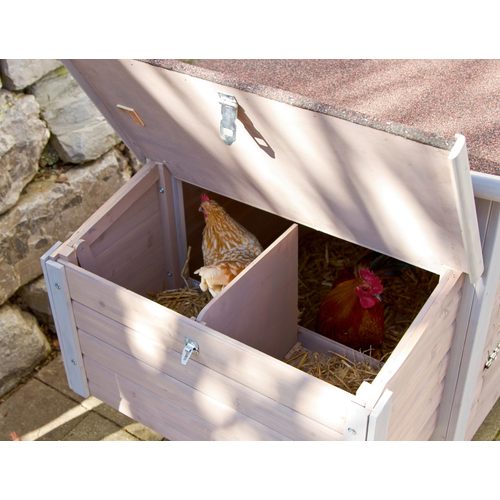 Chicken Coop Emma 146x74x85cm - Harvesso