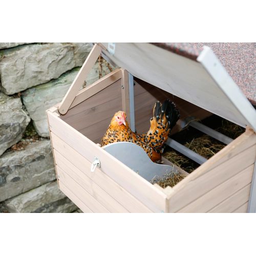 Toyuq hini Bonny, 181x65x118 sm - Harvesso