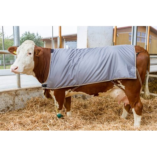 İnək örtüyü, 155 sm, Simmental və iri Holşteyn üçün - Harvesso