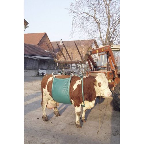 Cow lifting device - Harvesso