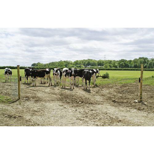 Electric gate kit 3,60 m, complete - Harvesso