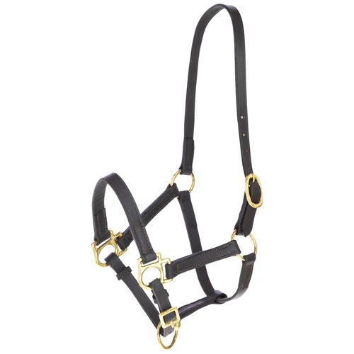 Foal Halter Eco Leather brown - Harvesso