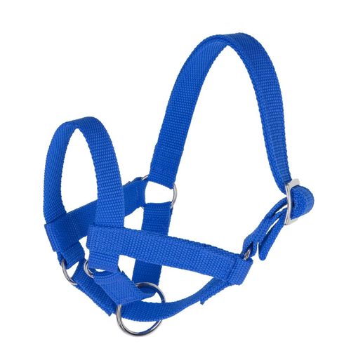 Halter for Llamas, size 50 blue - Harvesso