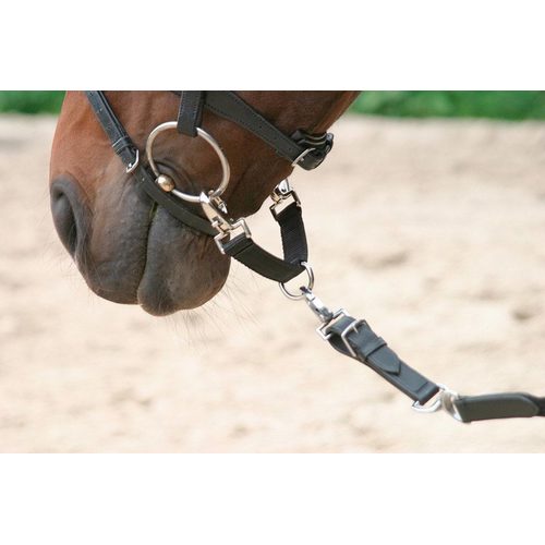 Lunching attachment, nylon, black - Harvesso