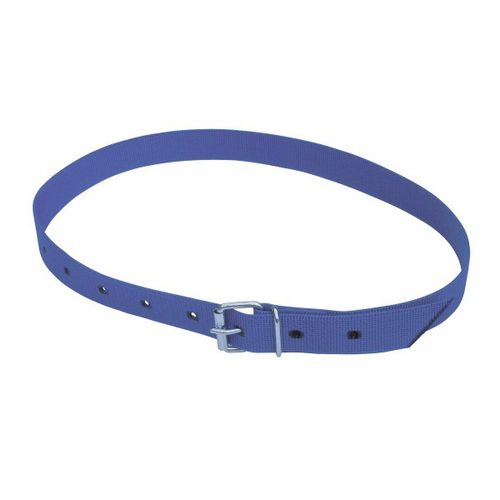 Marking Neck Strap, 135 cm, blue, with roller buckle, Kerbl - Harvesso