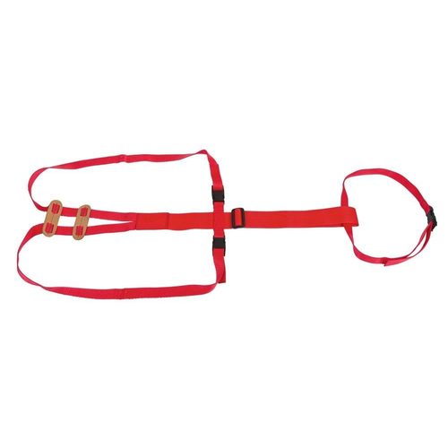 Prolaps Harness for sheep - Harvesso