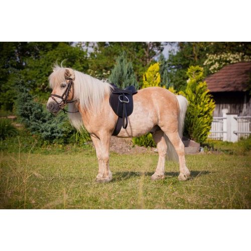 Saddle-Set Pony, Economy black 15'', 21cmx11cm - Harvesso