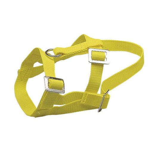 Sheep and ram halter, nylon yellow - Harvesso