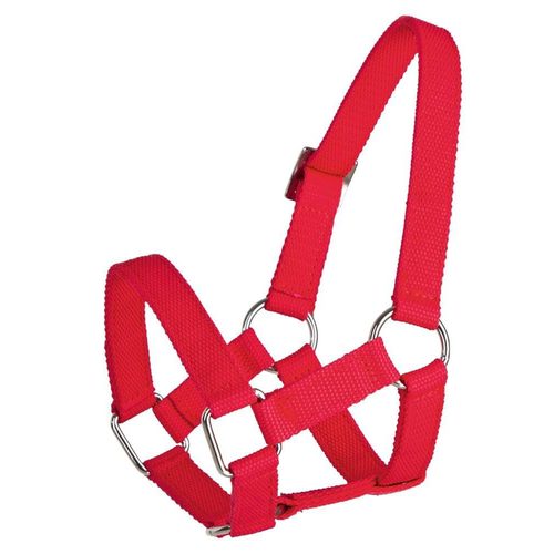 Sheep halter, polypropylene, red - Harvesso